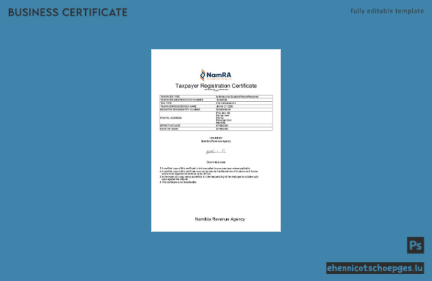 Namibia Steuerzahlerregistrierungsbescheinigung – Beispielansicht (Word und PDF)